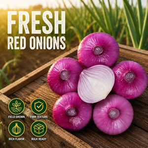 Cebollas Rojas Frescas de Primera Calidad Certificadas ISO 22000/HACCP/GLOBAL GAP, Cosecha 2026, Tamaño 8cm+, en Bolsa de Malla/Caja de 10kg/20kg - Product Image 1