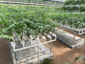 Équipement d'irrigation hydroponique pour serre, gouttières en plastique pour plantes, gouttières de culture - Product Image 5