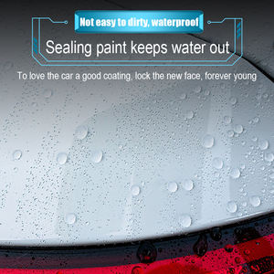 <b>nano</b> polyme shine protection for car paint body graphene technique gloss water repellent quick <b>spray</b> good effect auto coating - Product Image 5