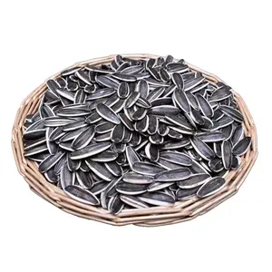 Big Size Raw Type 363 361 601 Sunflower Seed From China