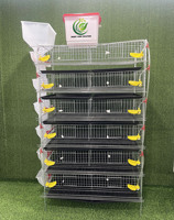 Nouvelle cage à cailles de haute qualité en acier galvanisé, type H, 1,2 m, 6 niveaux, capacité 360, pour élevage en extérieur, batterie avicole automatisée