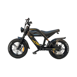 CE Certified 48V 1000W <strong>E</strong>-Tour R8 Plus Electric Mountain <strong>Bike</strong> X20 24" Fat Tire Long Range 30AH Lithium Rear Hub Sport - Product Image 2