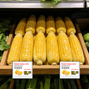 Etiqueta de Tinta Electrónica NFC Ultrafina de 4.2', Etiqueta de Precio Electrónica, Actualización Instantánea a través de Teléfono Inteligente para la Gestión de Estantes de Minoristas con Accesorios - Product Image 4