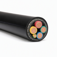 Kabel Daya Tembaga Berlapis Baja XLPE 0.6/1kV YJV YJV22 4x150mm2+1x70mm2 4x185mm2+1x95mm2 Berselubung 4 Inti