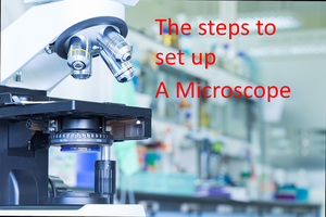 Microscopes biologiques ou stéréoscopiques personnalisés Série 20X-2000X Grossissement Éclairage halogène/LED Classement IP68 Conception trinoculaire - Product Image 2
