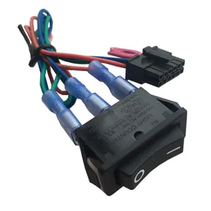 Conjunto de cabos de extensão de cabo de chicote de fios Ecu para e-bike personalizado de fábrica aprovado pela UL com conector de terminal de bateria EV