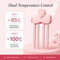 Nouvelle Brosse Chauffante Électrique pour Volumiser les Cheveux (Matériau PC) ; Vente Directe d'Usine, Vente en Gros et Personnalisation OEM/ODM