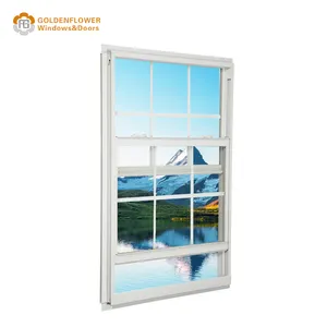 Casement de style américain Profils de fenêtres à motifs coulissants personnalisés bon marché Fenêtre à guillotine verticale coulissante de type double à guillotine simple