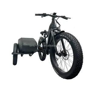 Lantu Ebike Fabriek 3 Wiel Elektrische Fiets Cargo Bike Trike Met Dikke Band Retro Zijspan Ebike