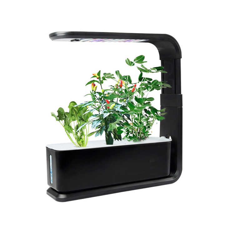 Picture Idea: Small Intelligent Garden Indoor Hydroponic Kit Vegetable Growing