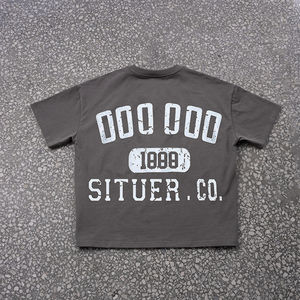 TKAN 53, venta al por mayor, camiseta con logotipo serigrafiado para hombre, Camiseta de algodón 100% de peso pesado de alta calidad, camiseta de talla grande para hombre - Product Image 3