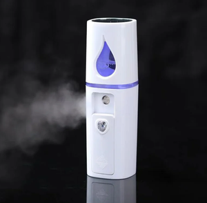 Портативный Мини-ионный отпариватель для лица - Product Image 1