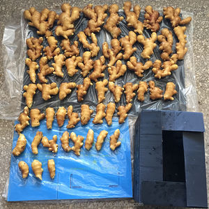 סיני באיכות גבוהה טרי ג 'ינג' ר גדול מים שטף ונארז בתיבה - Product Image 6