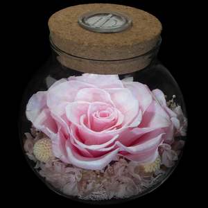Bouteille à vœux Rose Éternelle avec couvercle en verre créatif, veilleuse décorative, cadeau d'anniversaire Tanabata, dégradé multicolore - Product Image 4