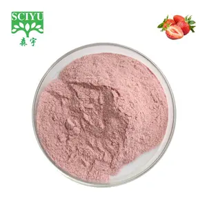 Poudre d'extrait de fruit de fraise Super alimentaire