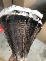 Plume de cheveux naturelle plume de dinde pour artisanat bricolage coiffure chapeau Costume carnaval fête mariage maison décor floral