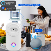 Enchufe Inteligente WiFi ZIGBEE LangYeao Tuya, Enchufe EU BR UK US IT AU FR, Temporizador, Monitor de Energía, Compatible con Google Home, Alexa, Smartlife, 16A