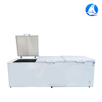 Équipement de réfrigération pour cuisine commerciale, congélateur horizontal, grande capacité, congélateur coffre professionnel pour cuisine, congélateur profond