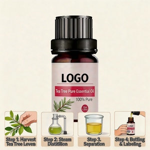 Huile essentielle d'arbre à thé 100% pure et naturelle de haute qualité OEM 10 ml pour les soins de la peau - Product Image 3