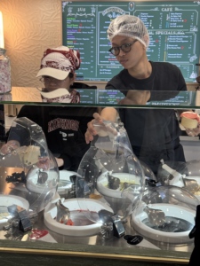 MILES GALAXY PRO V6, la Macchina per Gelato Commerciale Più Famosa negli Stati Uniti, Utilizzata da Wolfgang Puck per il Catering durante la Cerimonia Oscar - WPC - Product Image 5