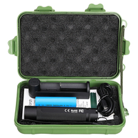 Lampe torche LED UV 365nm en alliage d'aluminium pour le camping avec indice de protection IP66 rechargeable