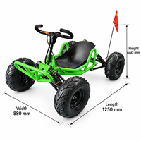 Kart à pédales à essence 63cc le plus vendu, réservoir de carburant de 1,2 L, hauteur de roulement de 26 cm, pneus de 8 pouces, charge maximale de 180 kg