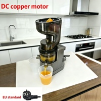 Extracteur de jus commercial électrique multifonctionnel pour la maison, machine à jus lent avec lame, pour canne à sucre