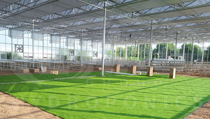Système de culture hydroponique multi-verticale en tour, système NFT, culture en seaux hollandais pour laitues et plantes à feuilles, multi-verticale - Product Image 5