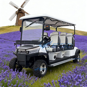 Voiture de tourisme électrique populaire, voiturette de golf à énergie nouvelle, véhicule de patrouille électrique pour visites touristiques, bus de tourisme électrique à vendre - Product Image 5