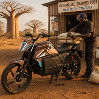 Cost-Effective Electric Motorcycle for Africa South America 72V LFP Swappable Battery Rental