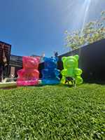 Nouvelle conception d'ours gonflable en PVC transparent pour la décoration d'événements, la remise des diplômes et la Saint-Valentin, utilisation en extérieur, portable et durable