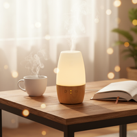 Diffuseur d'huiles essentielles ultrasonique en verre pour aromathérapie, à poser sur table, écologique, avec LED, très vendu