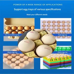 Imprimante de codes <span class=keywords><strong>pour</strong></span> cartons d'œufs : codes sur la surface du carton et sur les œufs individuels en une seule passe intégrée. - Product Image 2