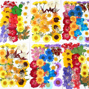 Kit d'herbes naturelles en résine époxy, fleurs séchées, lot de pièces, pour <span class=keywords><strong>Scrapbooking</strong></span>, artisanat artistique, bijoux, <span class=keywords><strong>Gel</strong></span>, Art des ongles - Product Image 2