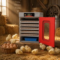 Incubateur à œufs entièrement automatique 3-en-1 (capacité 400 œufs) avec contrôle de la température et de l'humidité 110v/220v
