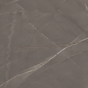 Elija entre las mejores baldosas de porcelana de la India de 600x600 mm para un piso elegante y duradero, con una buena superficie y alta demanda. - Product Image 1