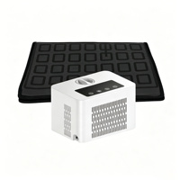 Consumer Electronics Cooling Pad with Cooling & Heating Eco-friendly PVC Material Multi-speed Adjustment for Winter and Summer