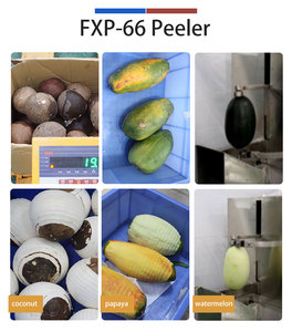 Máquina Peladora de Frutas de Acero Inoxidable Fengxiang, Máquina Peladora de Mango, Piña, Melón y Coco, Máquina Peladora de Frutas Comercial - Product Image 3
