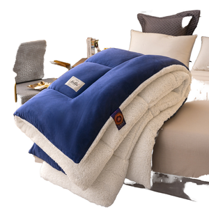 Bán Buôn Siêu Mềm Flannel Mùa Đông Comforter Bộ Đồ Giường Đặt Hiện Đại In Hot Bán Dày Chăn Polyester Làm Đầy Cho Khách Sạn - Product Image 2