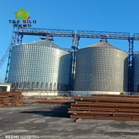 Sistema di Silos per Grano e Mais di Grande Capacità Zincato