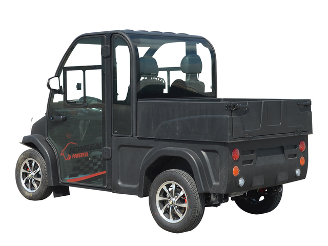 2 Seater Low Speed Vehicle Electric Mini Car with Closed Door with Cargo