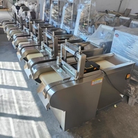 Voedingsmiddelenfabriek gebruikt machine voor het snijden van gekonfijt fruit in blokjes, en voor het snijden en in blokjes zagen van gedroogde mango en jujube.