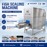 Desescamadora de Pescado Automática, Chorro de Agua Alta Presión SUS304, para Salmón Tilapia Mojarra Carpa, Planta Procesadora