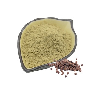 B.c.i cung cấp chất lượng cao nhà máy Piper nigrum 95% Hạt tiêu đen chiết xuất bột - Product Image 3