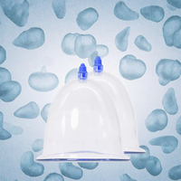 Ventouse de massage chinoise LW pour l'amélioration mammaire par aspiration sous vide, fonction musicale, bienfaits antirhumatismaux, en plastique, certifiée CE