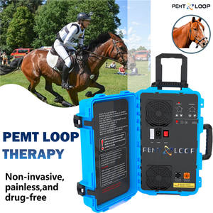 6000 Gauss Pemf Loop peralatan terapi Physio transduser Magneto medan elektromagnetik pengobatan manusia dan hewan - Product Image 5