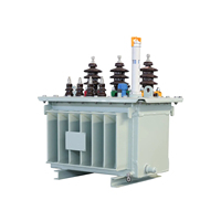 Proveedor de Transformadores de Distribución de Aceite de 10kv de Calidad Premium