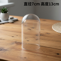 Cúpula Acrílica Transparente para Flores Preservadas, Semicircular, Moldeada por Soplado, con Cubierta de PET a Prueba de Polvo, para Flores Secas, Manualidades DIY