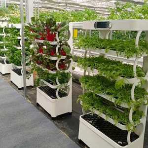 Sistema de Cultivo Hidropónico para Interiores, Jardinera Inteligente para el Hogar con Luces para Cultivar Vegetales - Product Image 6