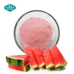 Extrato de frutas fabricante 100% puro congelado-seco melancia extrato de frutas suco instantâneo bebida em pó